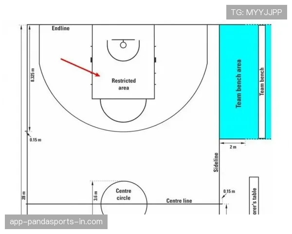 NBA与FIBA的罚球规则有何不同？从适用场景与距离为你解读