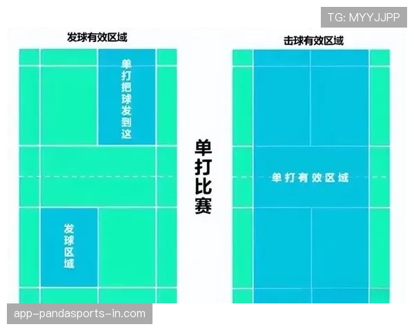 干扰发球违例是什么？规则解析与判罚标准